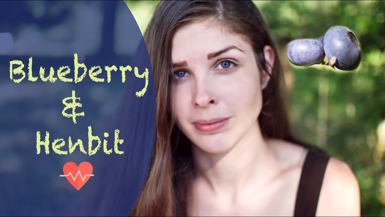 Foraging Blueberry (Bilberry) And Henbit