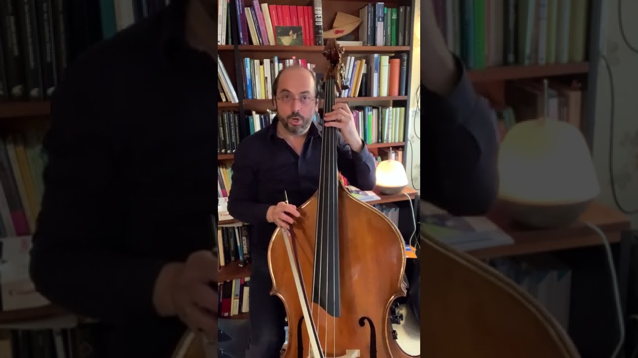 Scales system by Petru Iuga-Chapter 1 to 4 ( from 10)