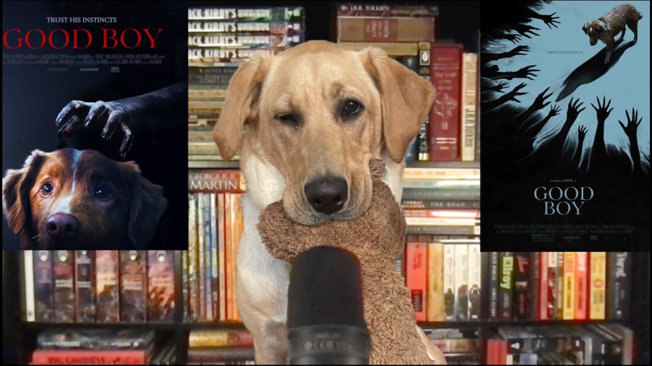 Good Boy - Review - Essential Horror Film For Dog Lovers