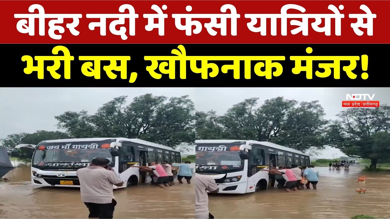 MP Weather: Passenger bus gets stuck on bridge amidst overflowing river in Maihar, major accident...