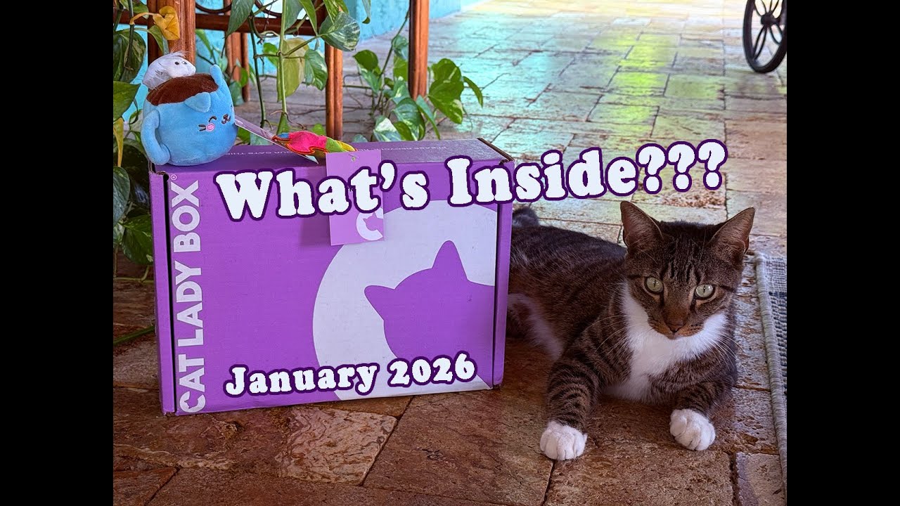 Cat Lady Box / January 2026 / Plus a Special Gift for Levi💜 #cat #catvideos
