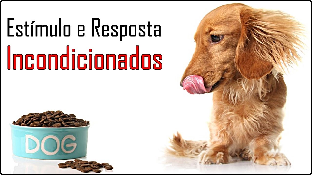 Estímulo Incondicionado e Resposta Incondicionada | Psicologia Comportamental [Behaviorismo]