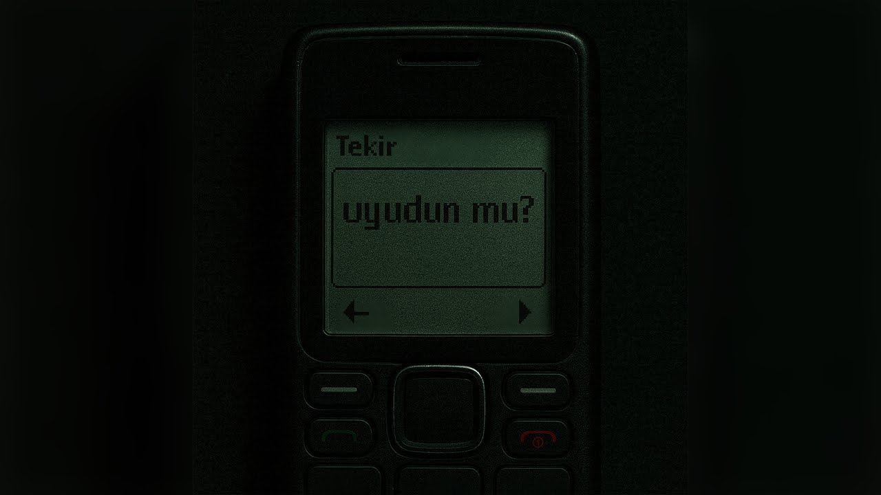 Tekir - Uyudun mu ? (Official Video)