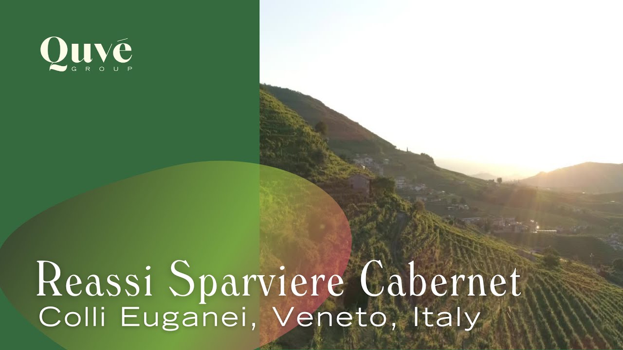 [Quvé Spotlight] Reassi Sparviere Cabernet 2018, Colli Euganei, Veneto, Italy