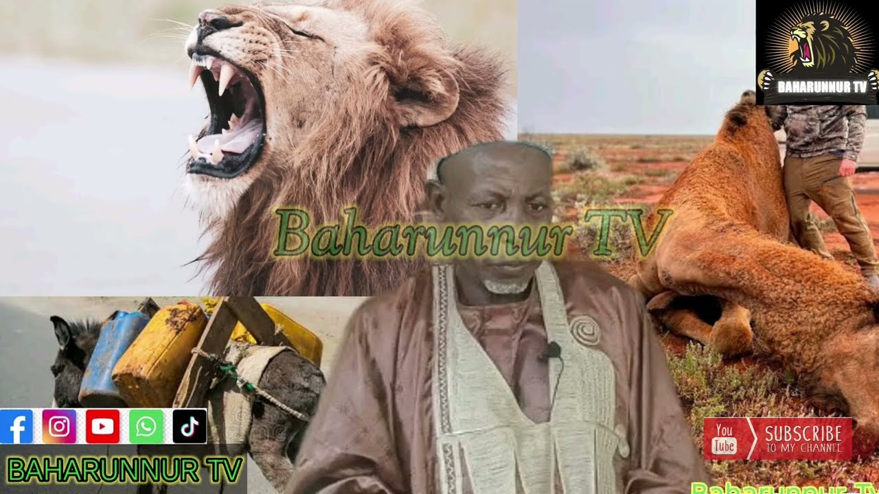 Hira_Da_Mai_Dawan_Gwadabawa_Jihar_Sokoto!!!Hadari Da Yadda Ya tsinci Kansa a Sarkin dawa....