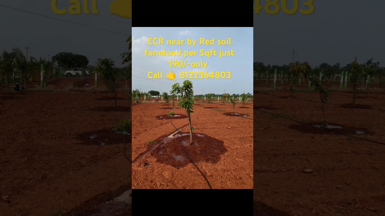 Redsoil farmland Chennai near by per Sqft 190/-only #red #farmland #redsoil #rootfix #indiansoil