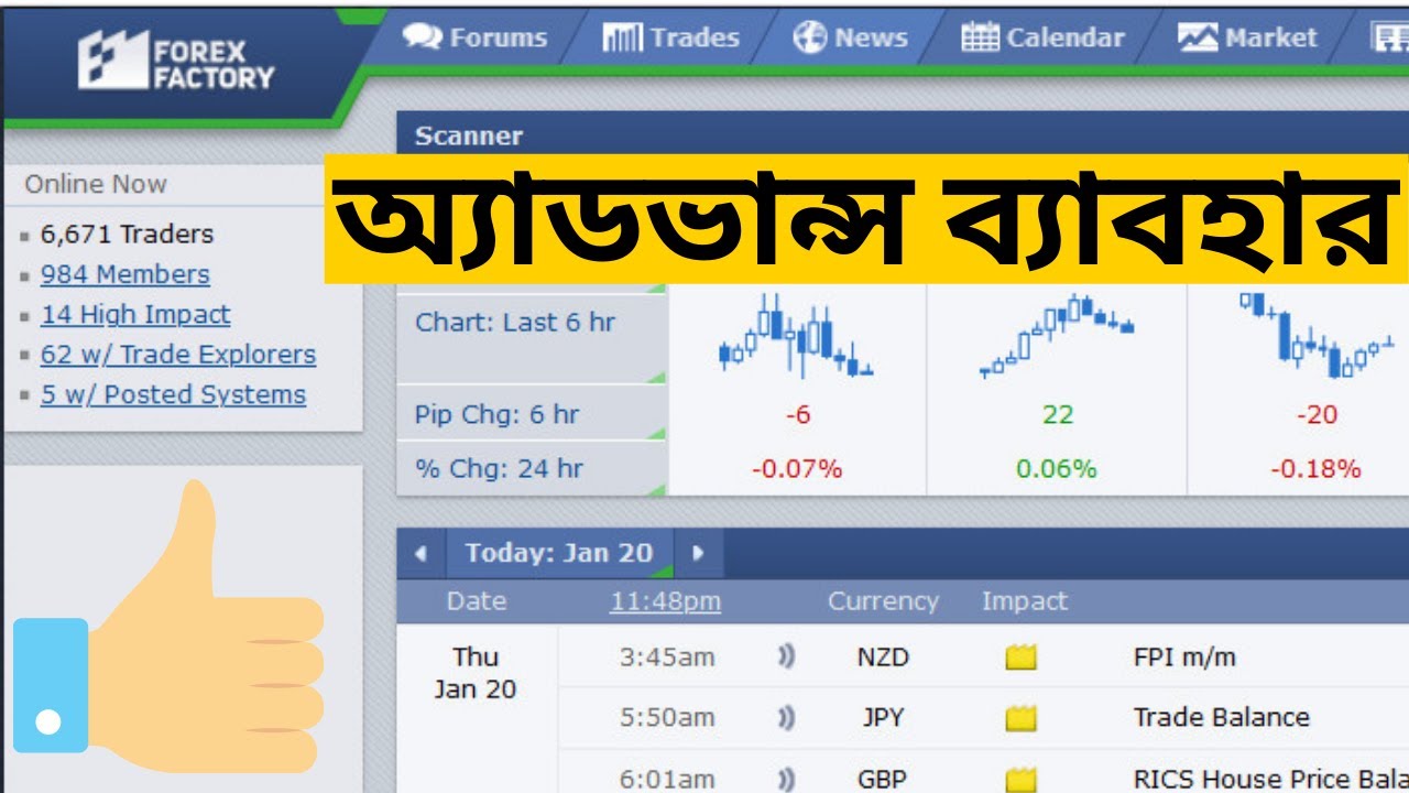 Forex Factory Calendar | How to Use Forex Factory In Bangla | Forex Help BD