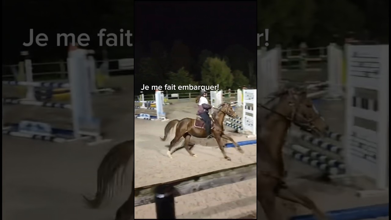 Un cours normal avec moi 🤣