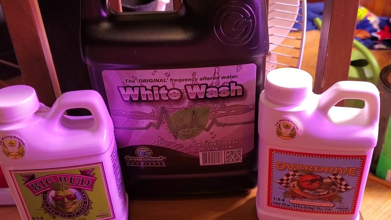 Growing cannabis #5 new products
