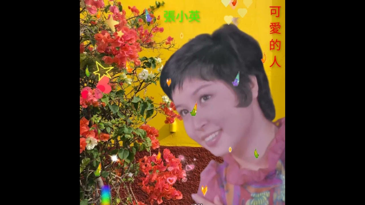 張小英 可愛的人 A 👍🍍🍍🍍🍍🍍🍍🍍🍍