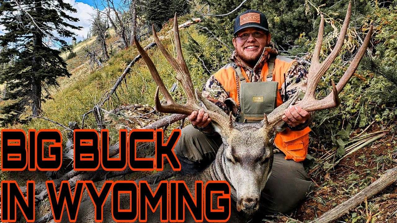 WYOMING MULE DEER 2024 MULE DEER HUNTING BIG DEER