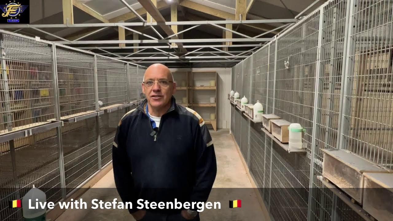 Live with Stefan STEENBERGEN