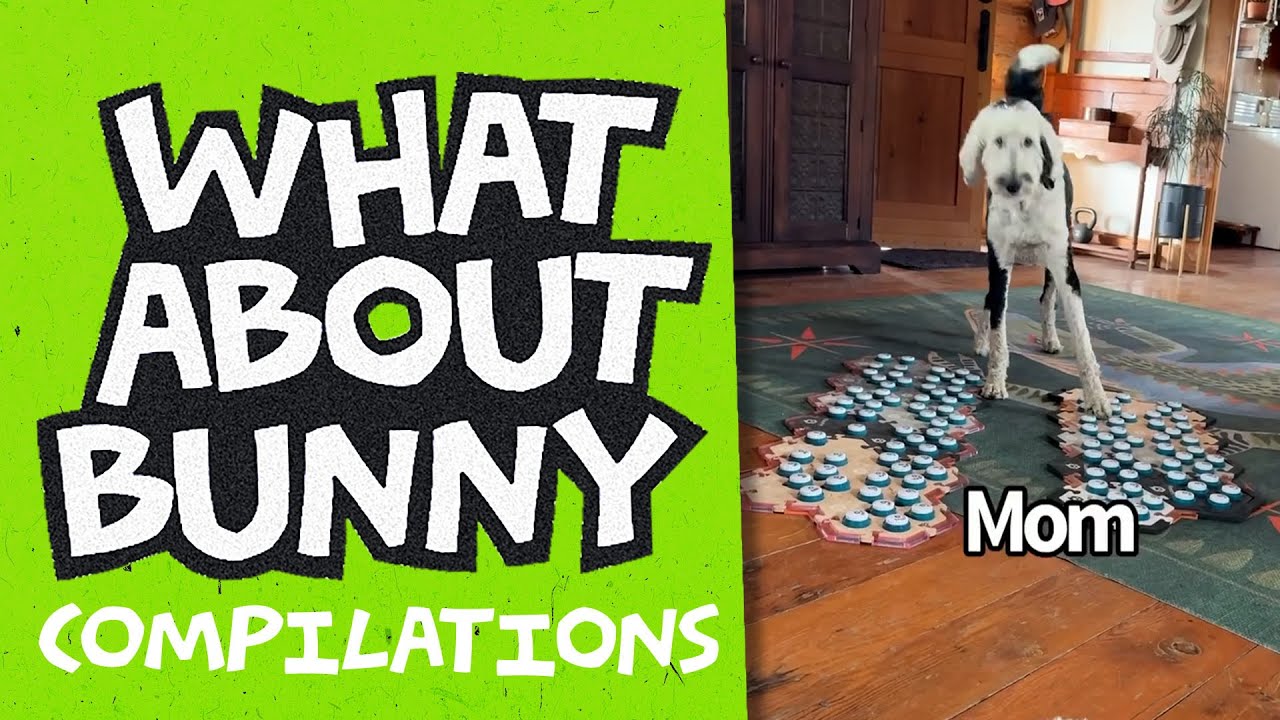 John Time and Other Ball | What About Bunny Compilations