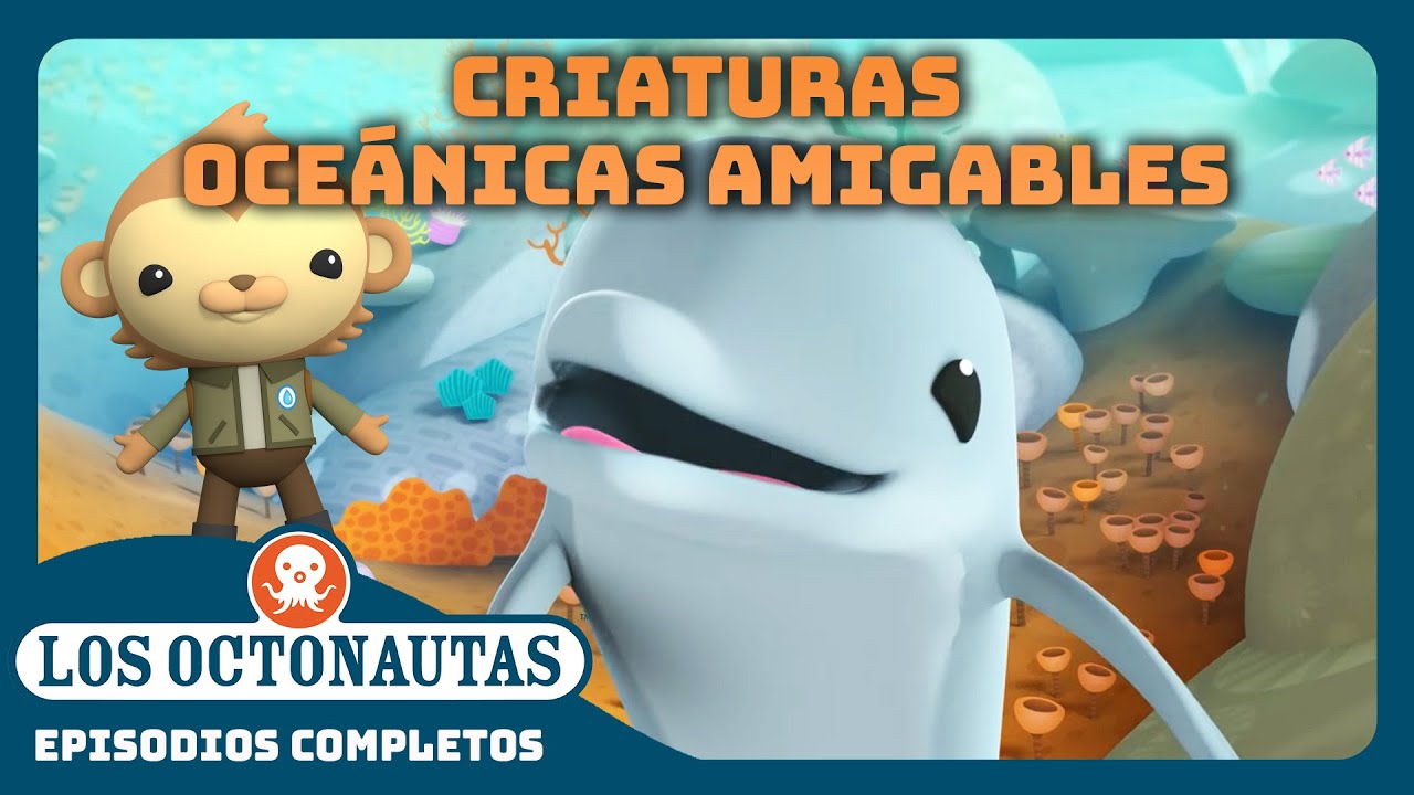 Los Octonautas - 🪸 Diversión en el arrecife de coral 🤿| Episodios Completos | Compilado
