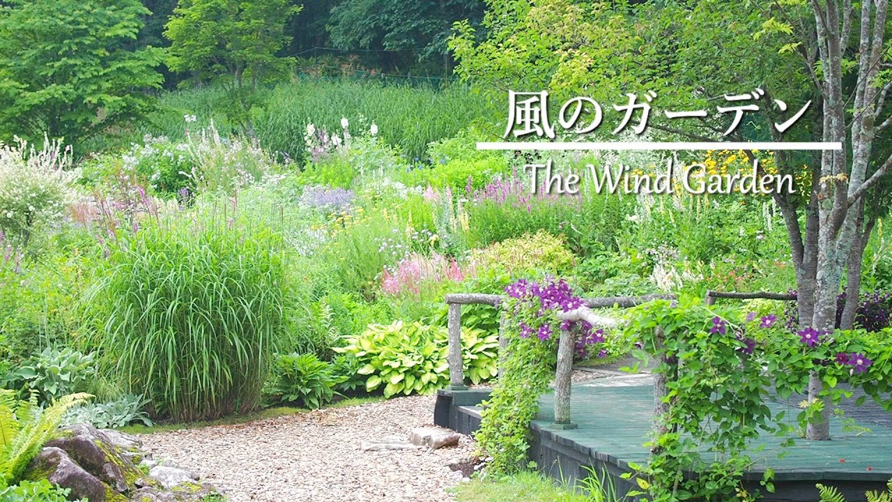 《風のガーデン》宿根草を中心に約450種類の季節の花々が移り咲く美しい庭《北海道お庭巡り・中編》