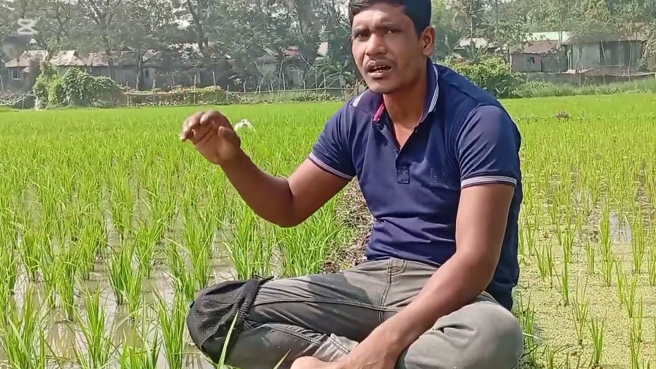 রোদের মধ্যে হাল বাও তুমি রইদে পুরে তোমার গাও আমার কাছে আইসা একটু ঠান্ডা পানি খাইয়া যাও