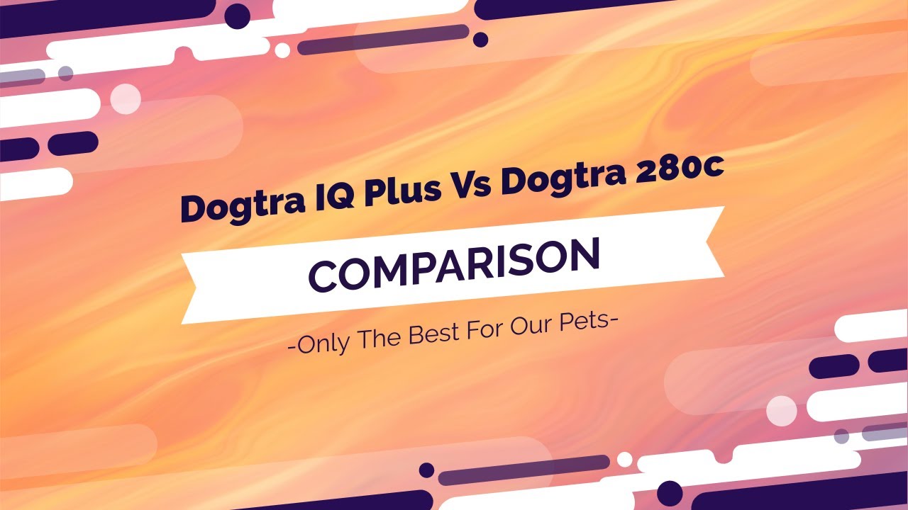 Dogtra IQ Plus Vs Dogtra 280c Dog Collar Comparison