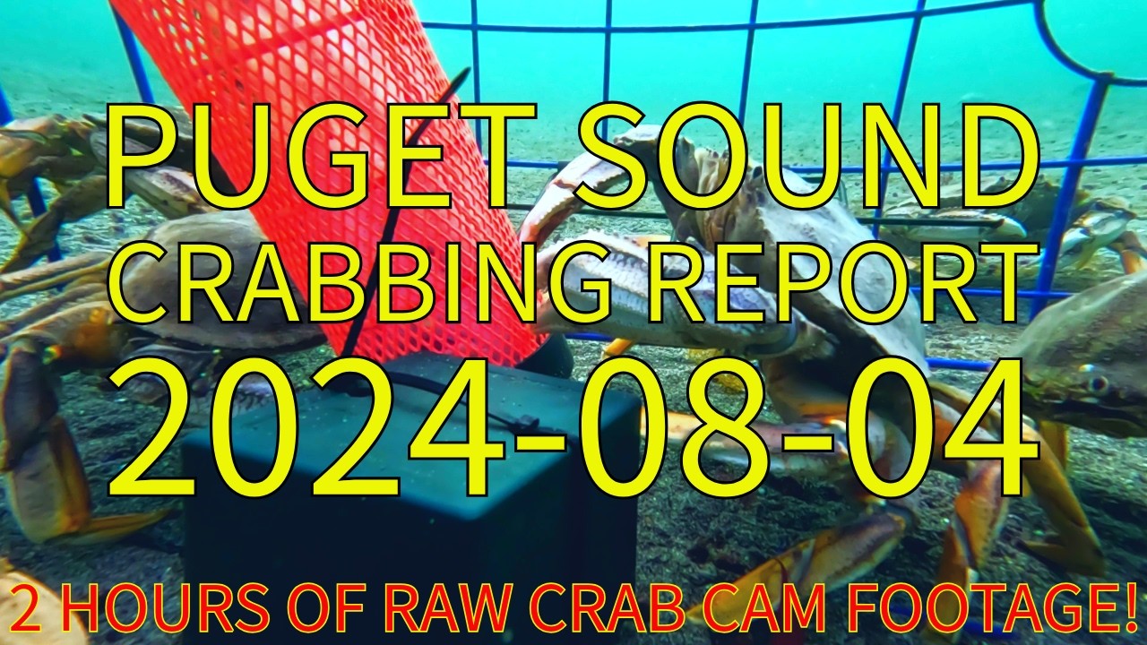 Puget Sound Crab Report - Raw Crab Cam Footage From 2024-08-04 | Stabicraft on the Sound