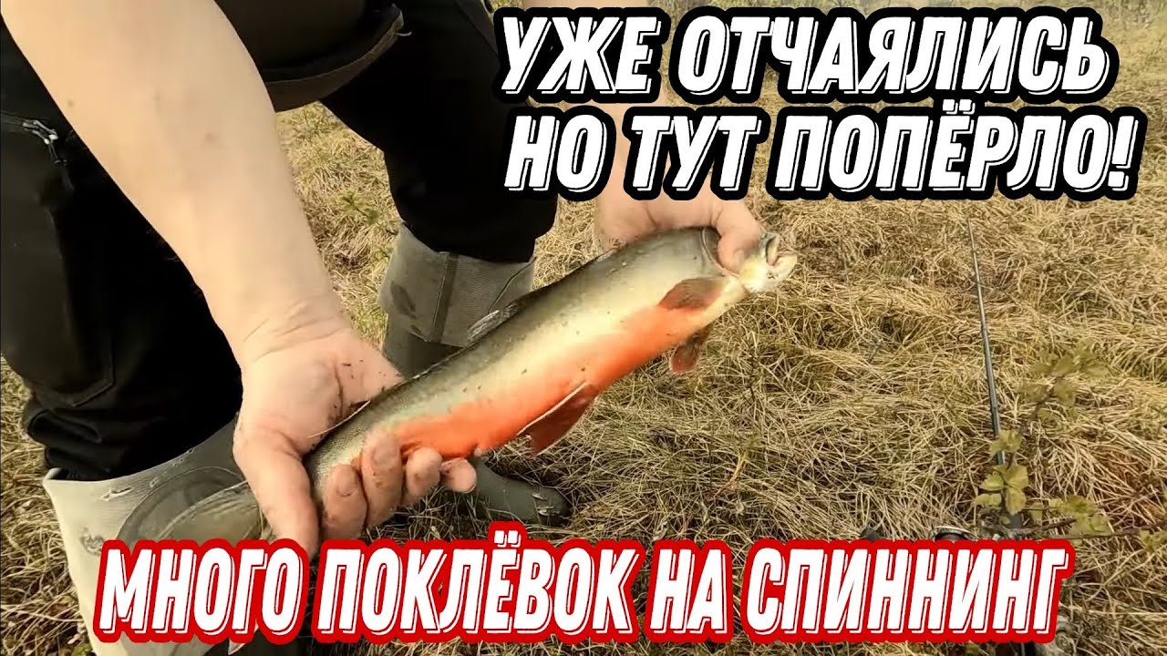 Водно-пеший ПОХОД за АРКТИЧЕСКИМ ГОЛЬЦОМ и КУМЖЕЙ. РЫБАЛКА в тундре КОЛЬСКОГО ПОЛУОСТРОВА.