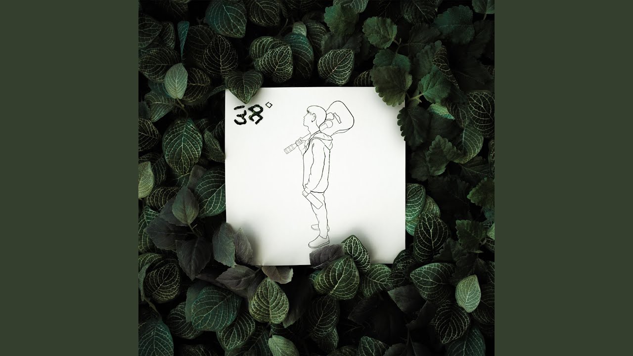 38º