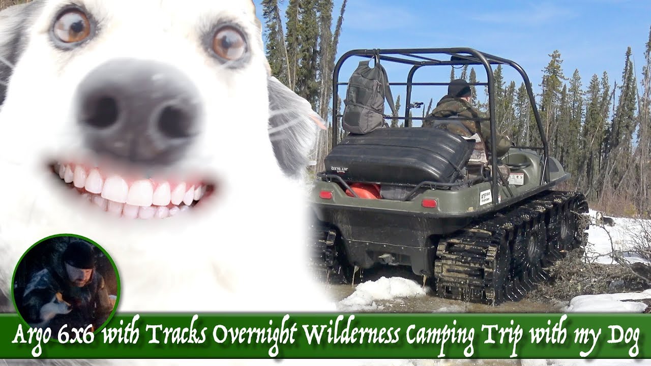 Argo 6x6 with Tracks Overnight Wilderness Camping Trip with my Dog