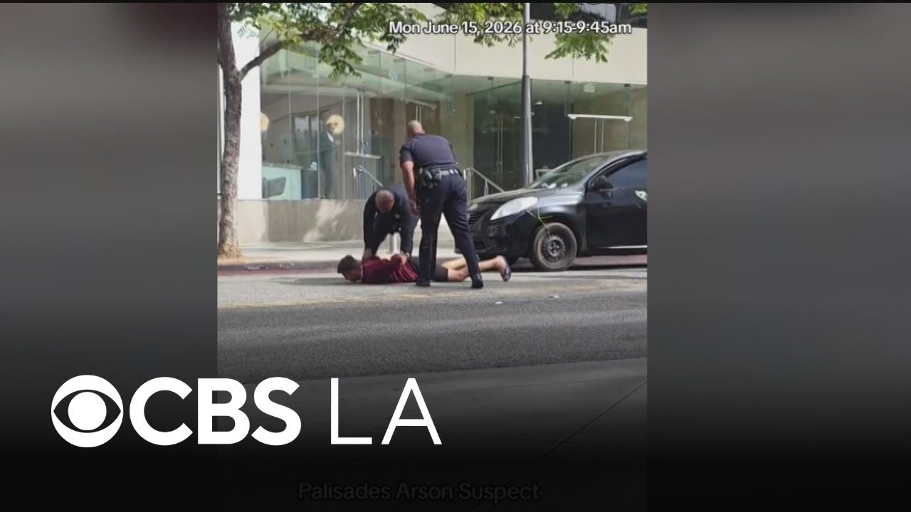 Pacific Palisades arson suspect arrested in Santa Monica