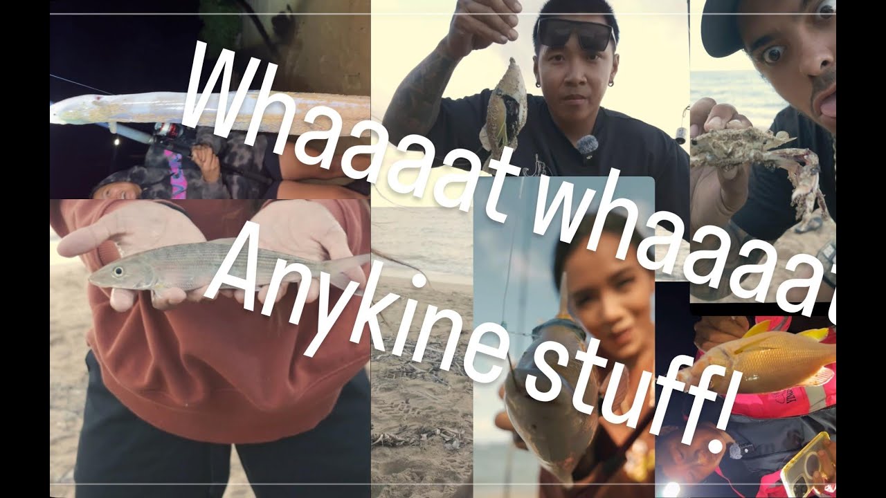 Anykine Aktion saturday