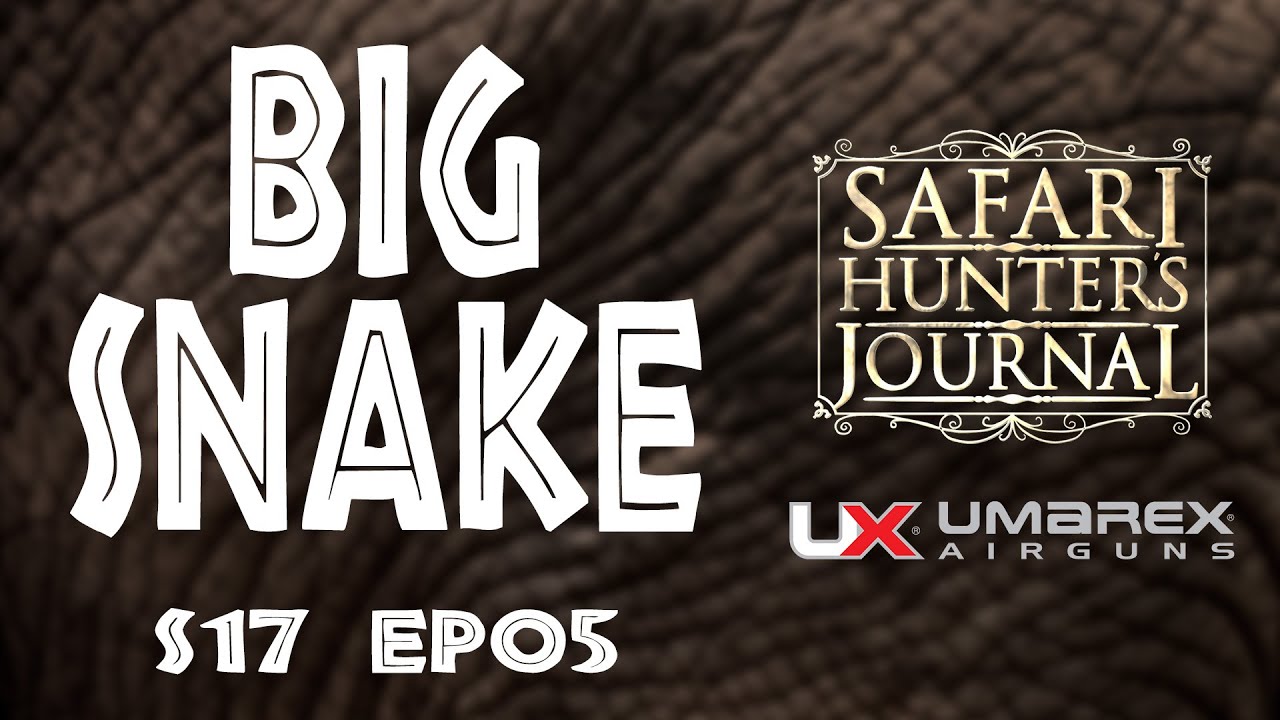 Massive African Python Snake Catch & Release - Safari Hunter’s Journal