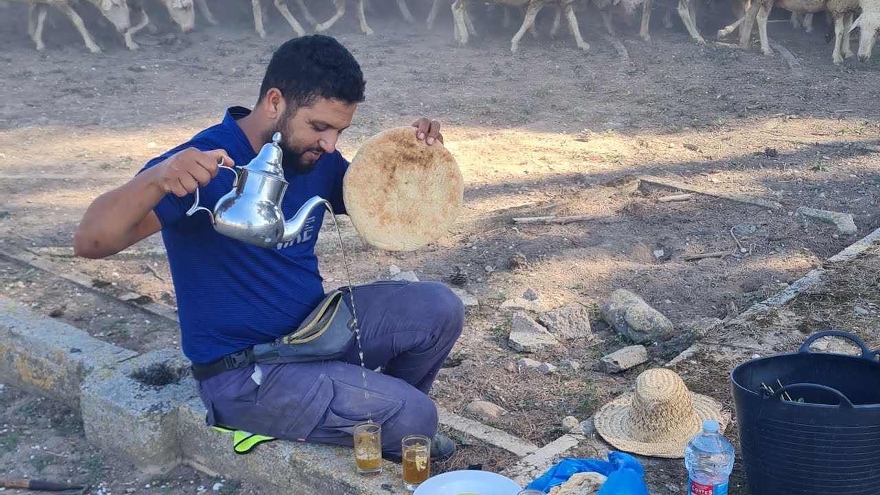 الحمد لله يارب رجعت لبلاد من بعد 86 كيلومتر انا والغنم 👨‍🦯