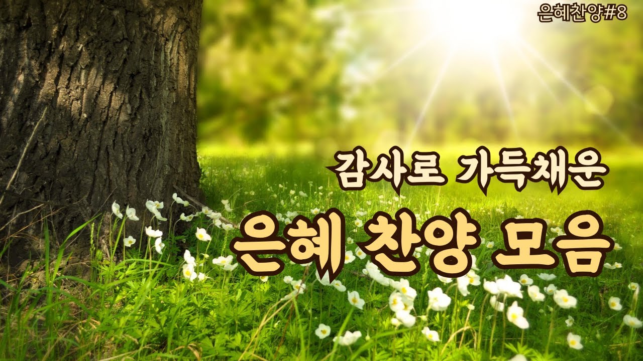 은혜와 감사로 시작하는 아침 찬양 라이브 |  | 감사 찬양  | 평강의소리 | 말씀찬양 | #8