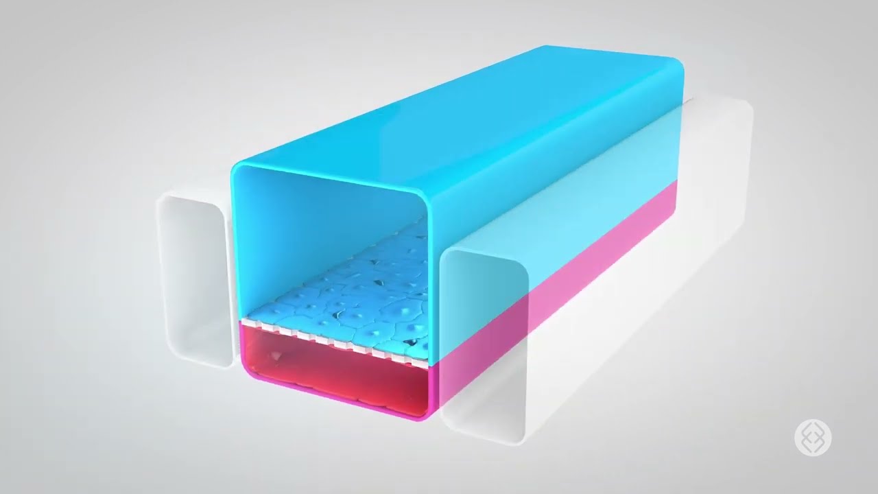 Alveolus Lung-Chip: A More Human-Relevant Model for Studying Pulmonary Physiology