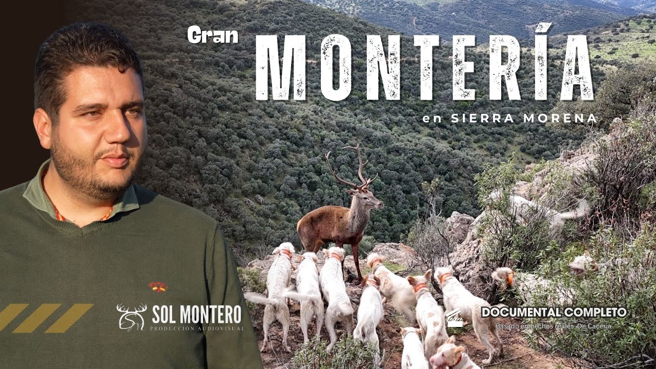 Gran Monter&iacute;a en Sierra Morena🦌🐗  |con Ruiz Caza Servicios Cineg&eacute;ticos