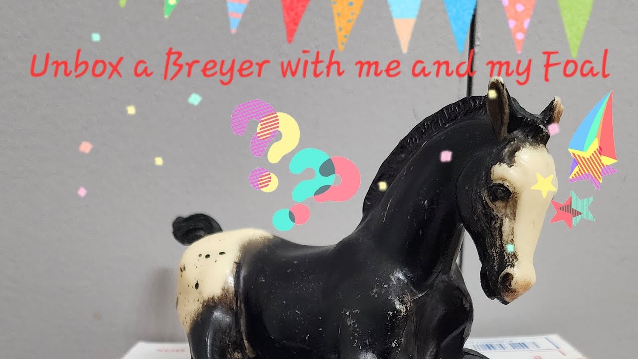 Breyer package 📦  Very Matte Black Appaloosa foal