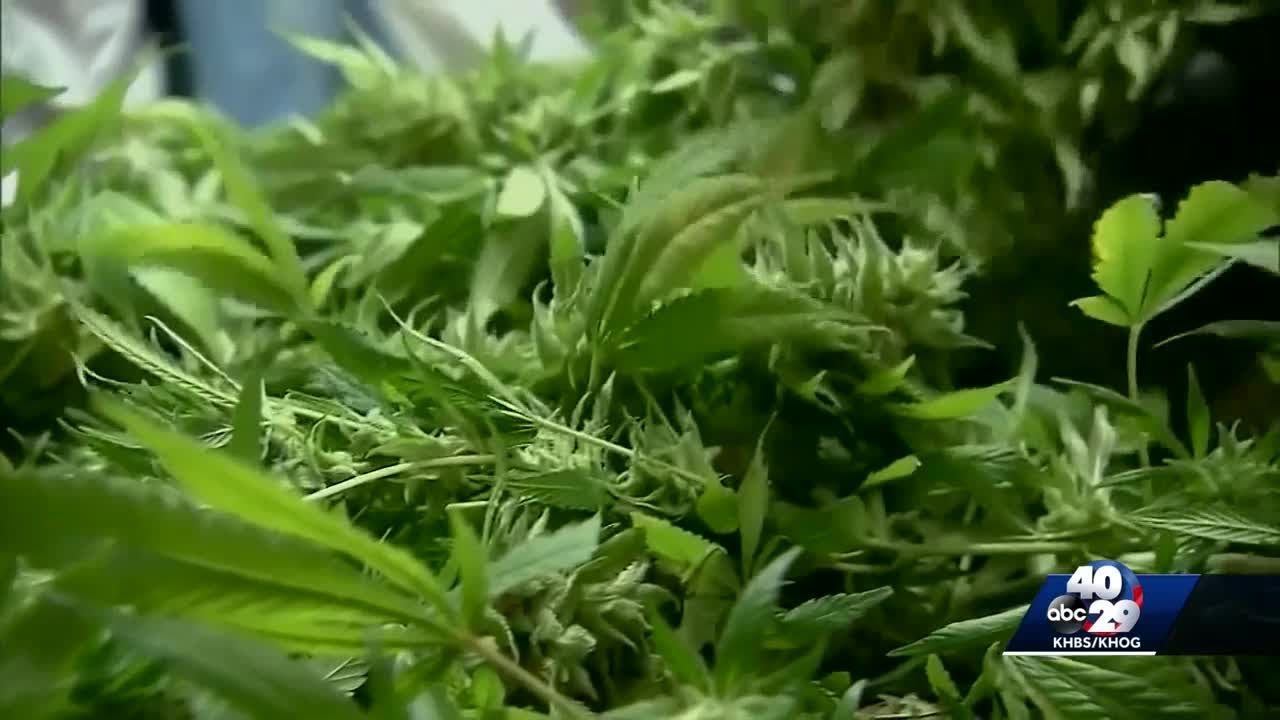 Medical marijuana edibles to be sold in Arkansas next week
