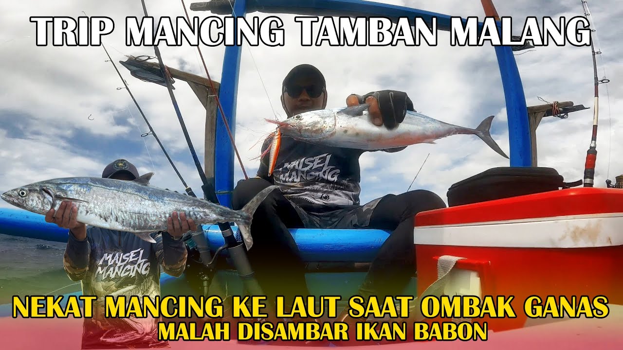 TRIP SPOT MANCING MALANG SELATAN, PANTAI TAMBAN, OMBAK BESAR STRIKE TENGGIRI BABON DAN CAKALANG