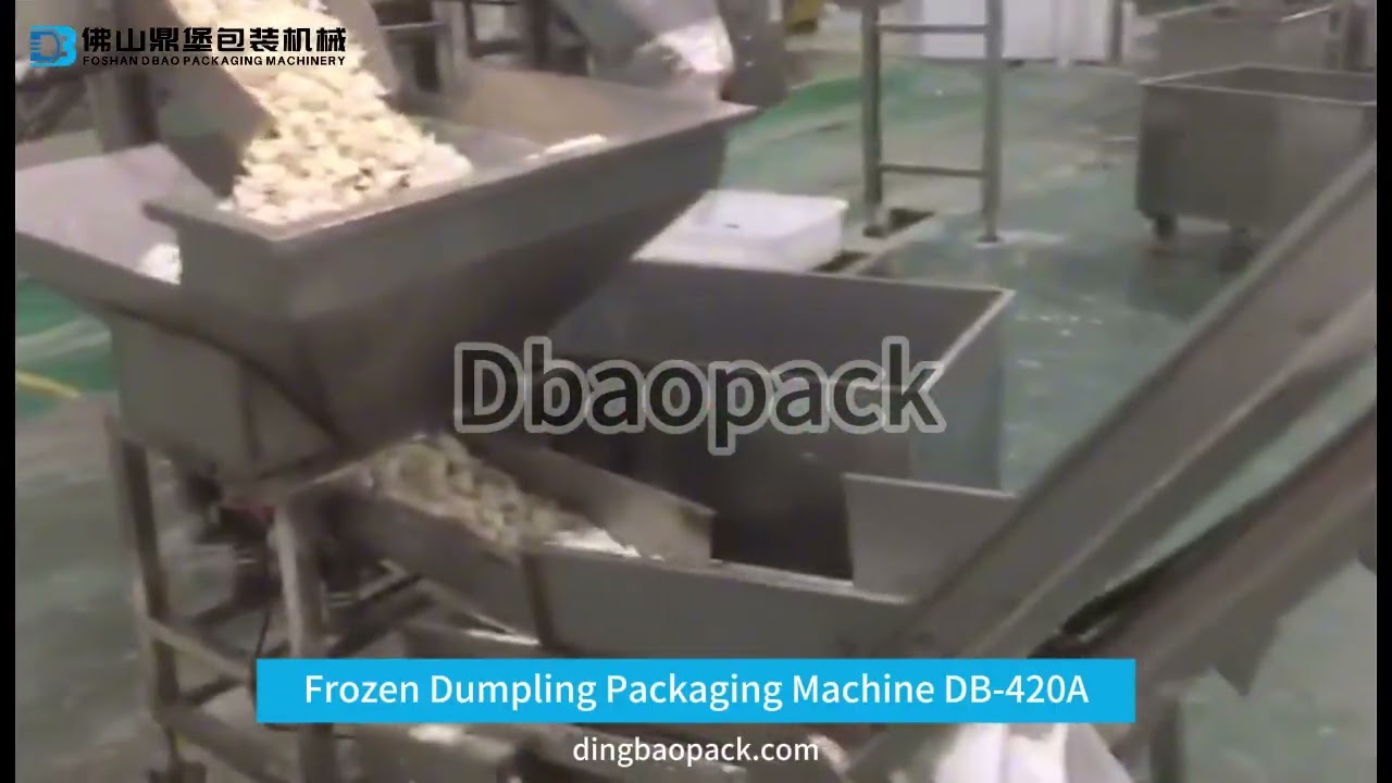 Frozen Dumpling Packaging Machine DB 420A