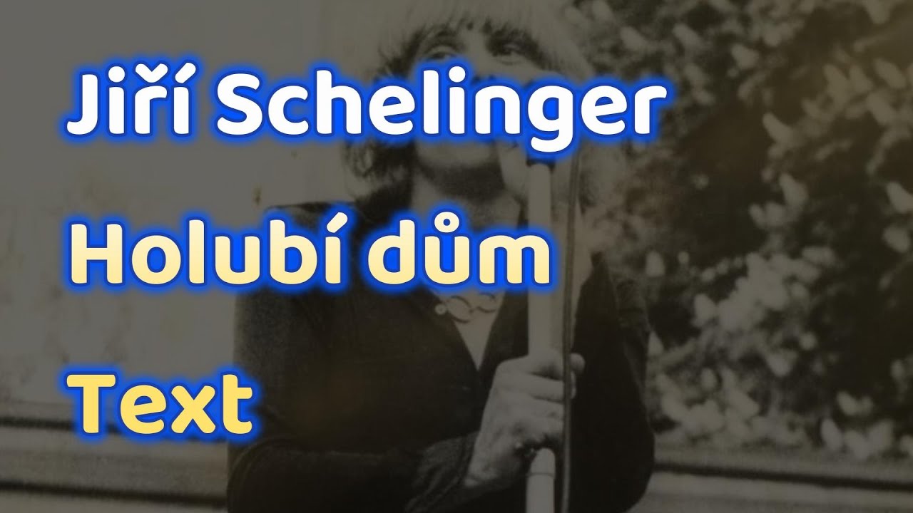 Jiř&iacute; Schelinger - Holub&iacute; dům - Text