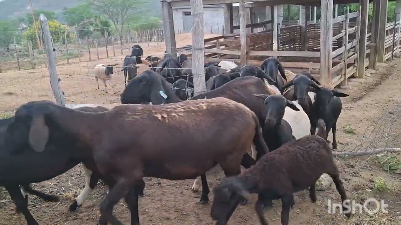 ASSIM COMEÇA NOSSO DIA