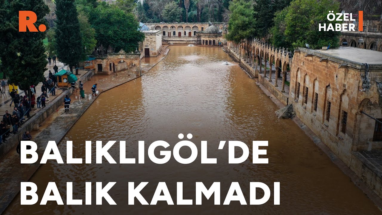 Selden etkilenen Balıklıgöl'deki balık sayısı azaldı