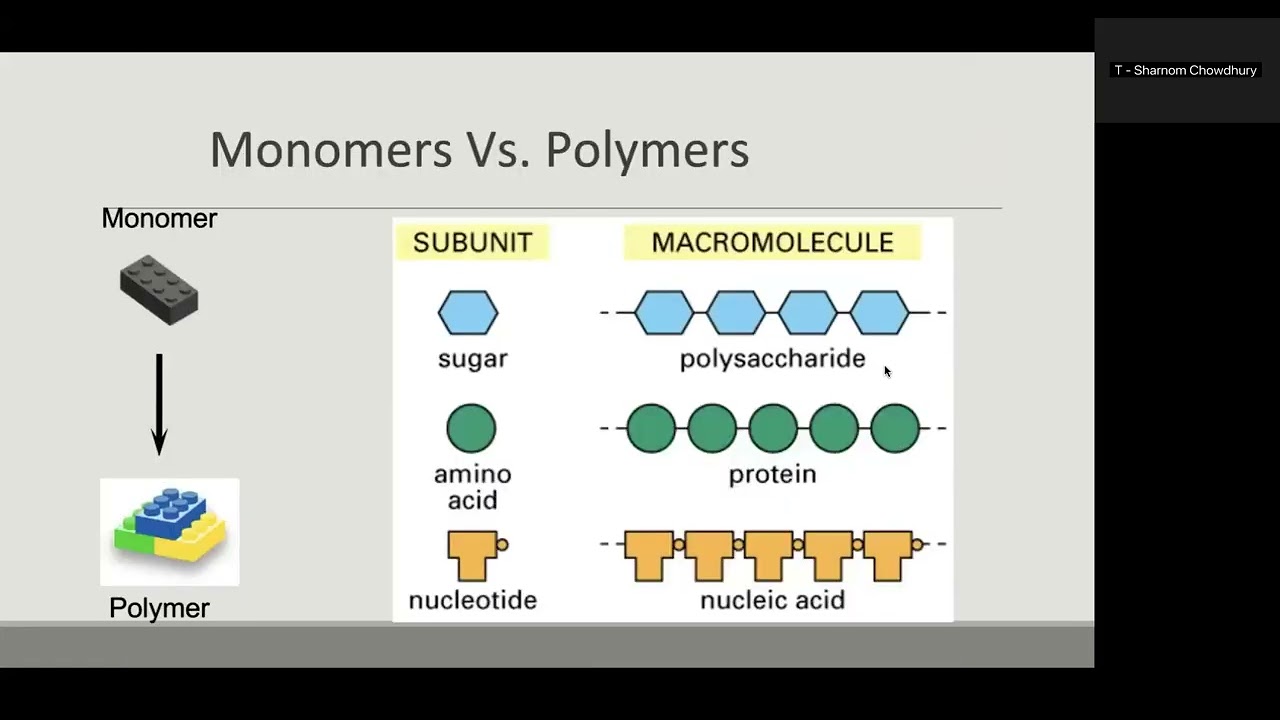 SP26 BIOL Review Session - BIOL105 Exam 1