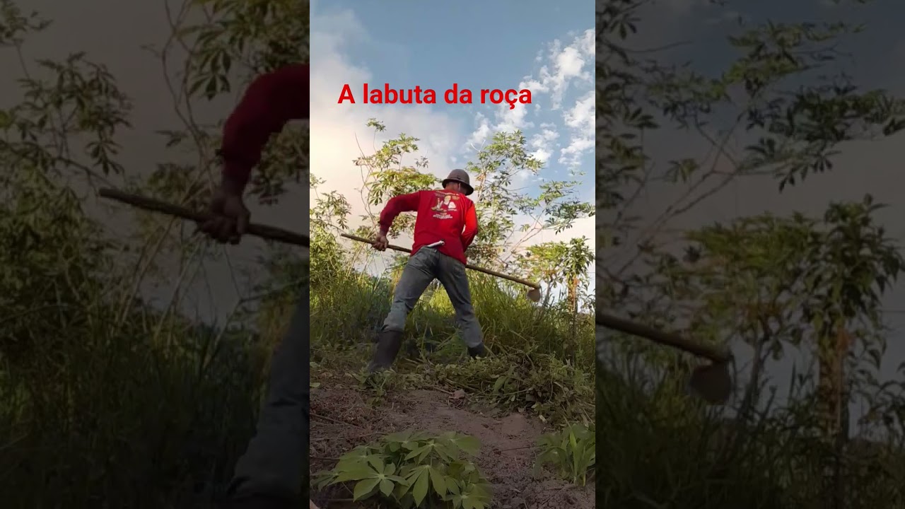 na labuta da roça #fazenda