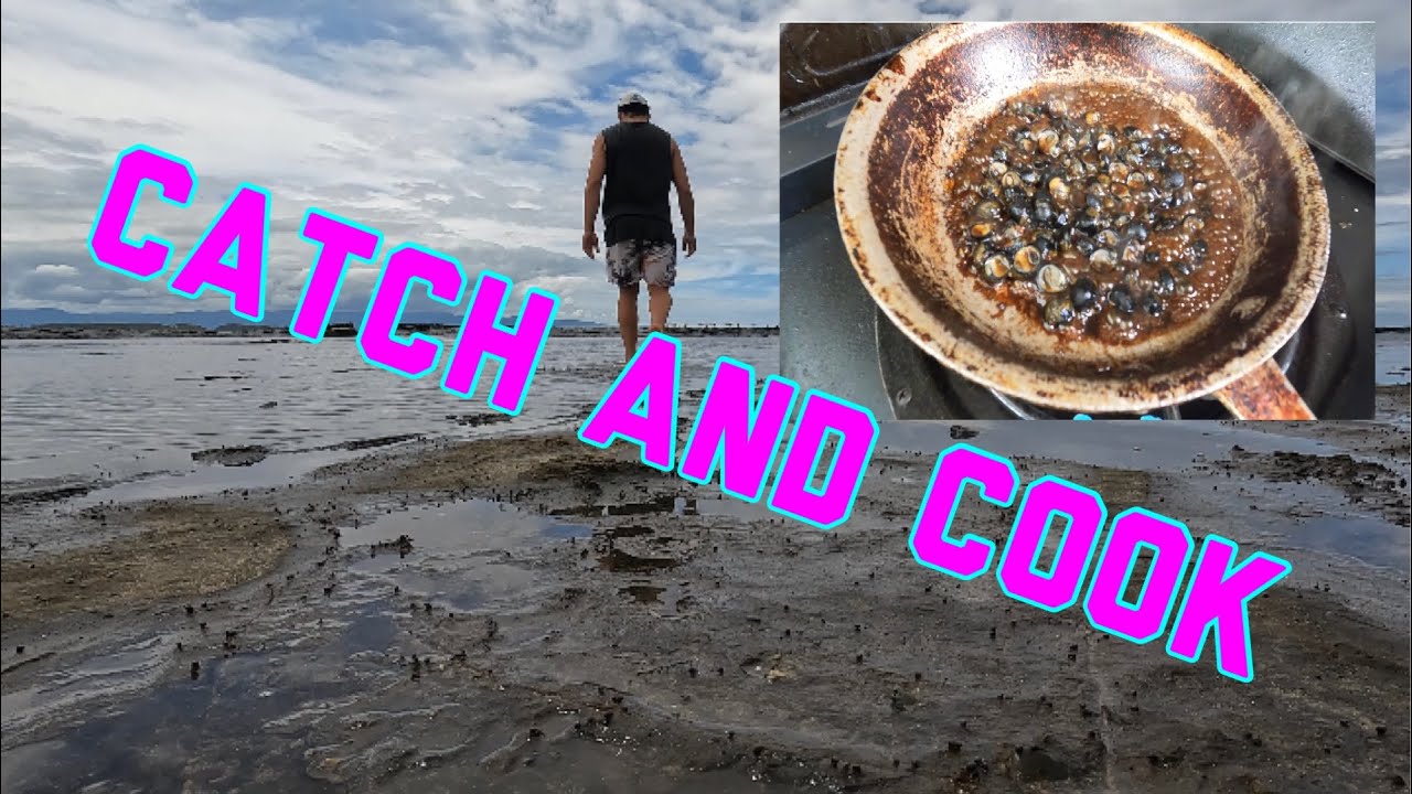 Periwinkle CATCH CLEAN COOK!!!    Simple but delicious survival food