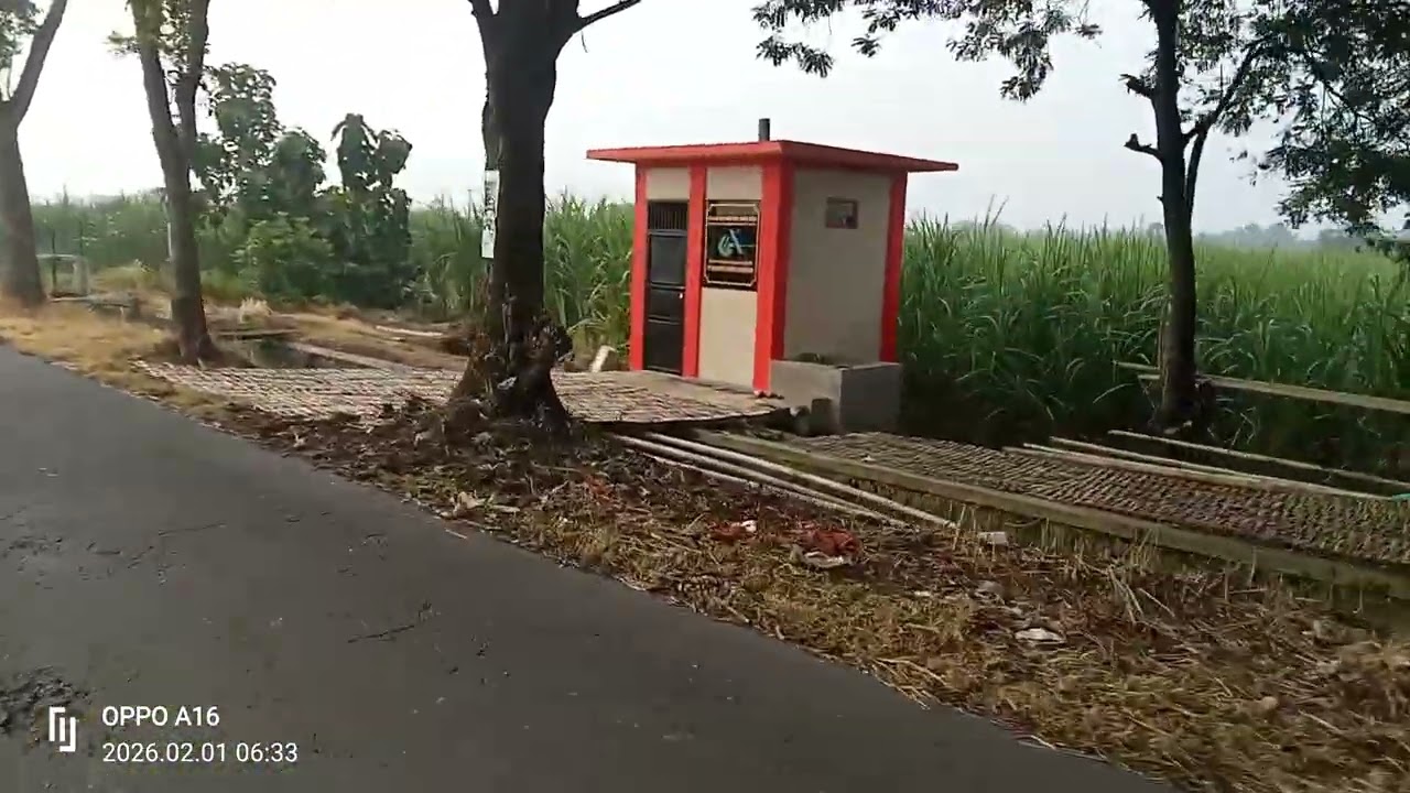 Indahnya persawahan daerah klampitan menuju dusun sidodadi