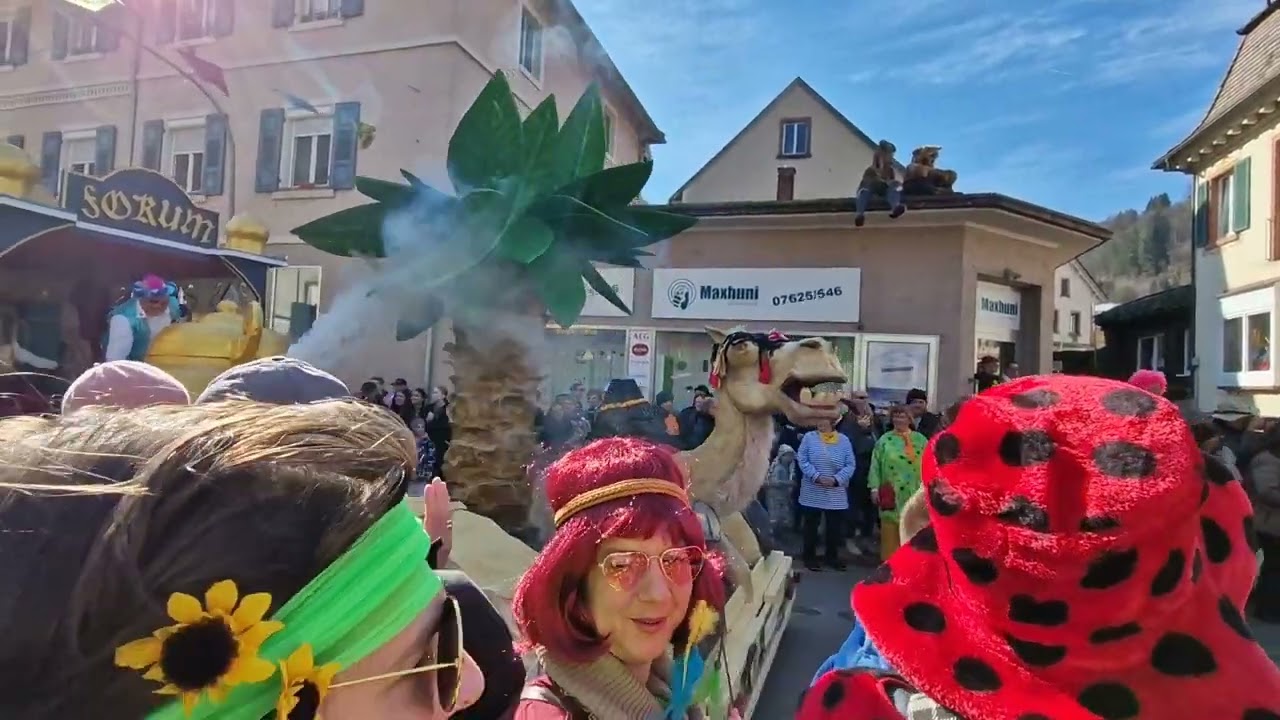 Fasnachtsumzug Zell im Wiesental, Sonntag 2025 Teil1