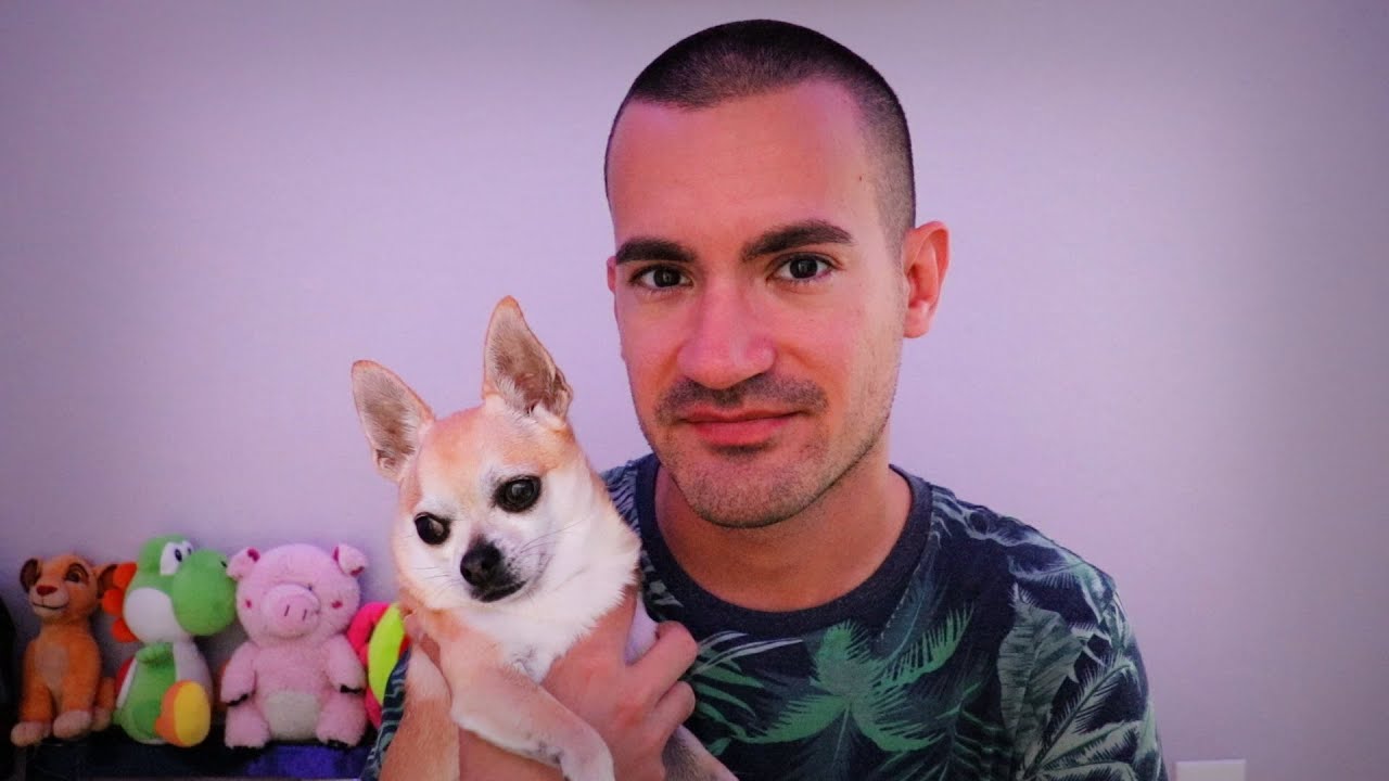 You Book a Dog Sitter Appointment (ASMR RolePlay)
