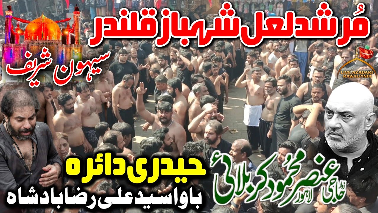 Bawa Ali Raza Badshah Sehwan Urs 2025|Haji Ansar Party Nohay 2025|Samne Laila De |Haidari Daria 2025