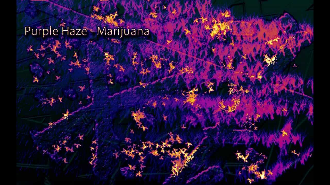 Binaural Beats - Marijuana High |THC Beat| *Purple Haze* Digital Drug