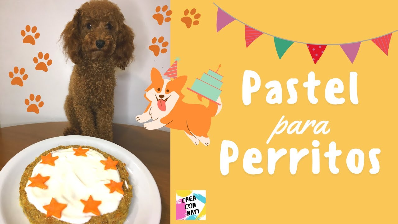 🎂 TORTA DE CUMPLEAÑOS para PERROS - MUY FÁCIL - Ingredientes simples y aptos!
