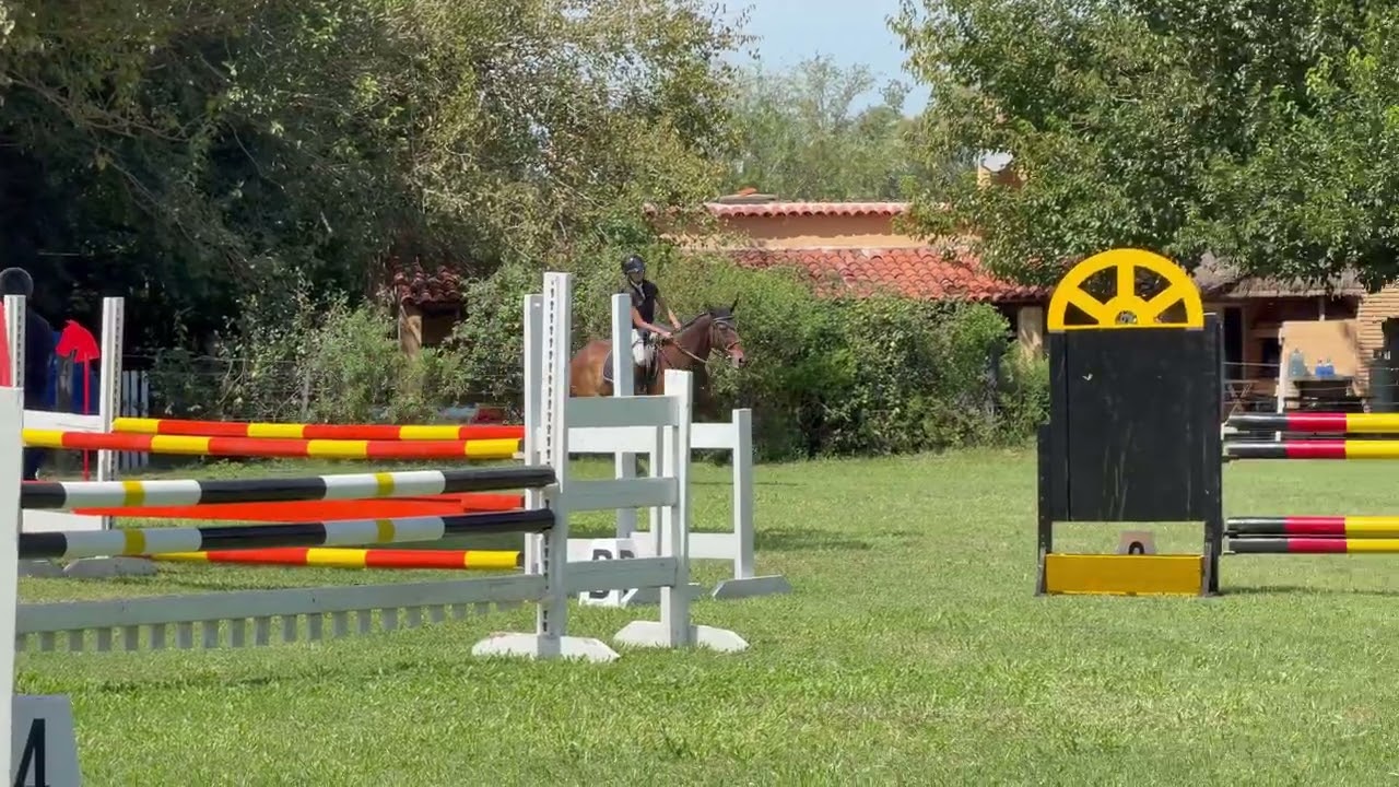 28 de febrero de 2026