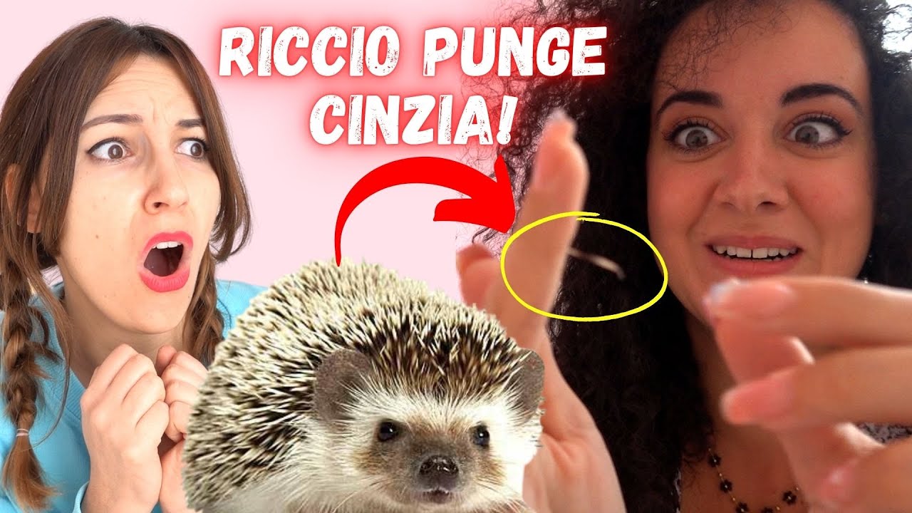IL MIO RICCIO VEDE CINZIA PER LA PRIMA VOLTA E LA PUNGE  @Cinzia Cavaleri che male!